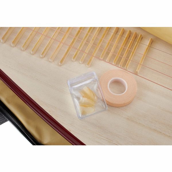 Thomann Chinese Pipa Standard