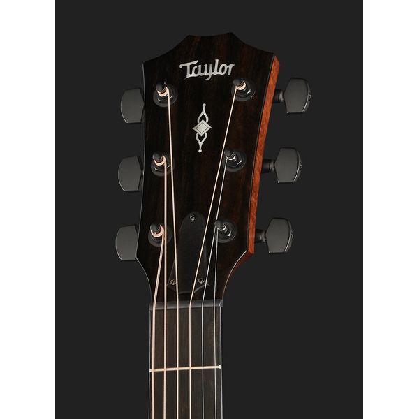 Taylor 324Ce V-Class Edgeburst