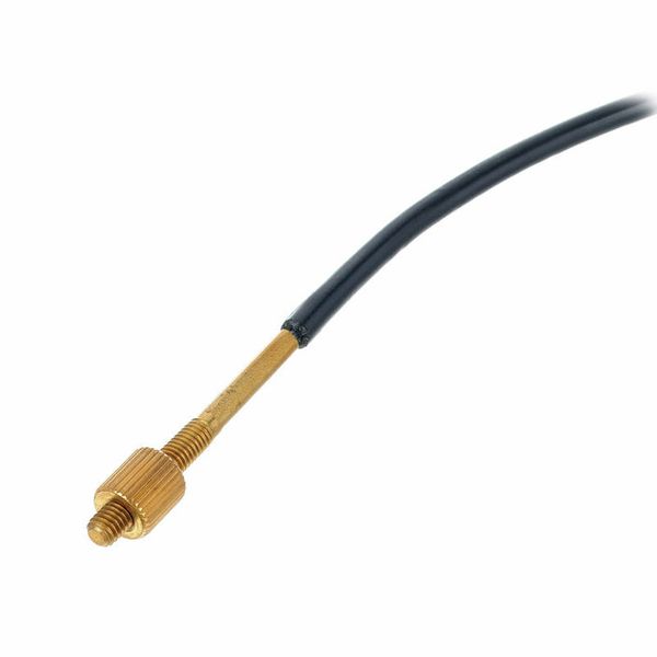 Petz Tailgut Double Bass 1/4