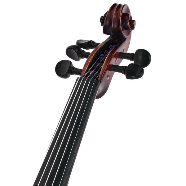 Roth & Junius Acoustic-Electric Violin 5-Str