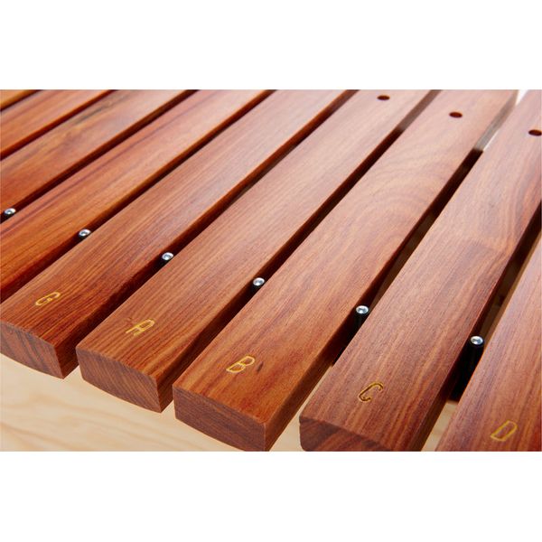 Studio 49 AX1600 Alto Xylophone