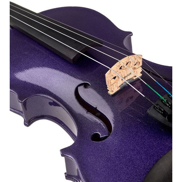 Stentor SR1515DPA Electric Violin Set