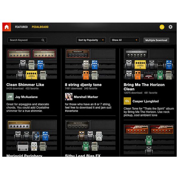 Positive Grid BIAS FX 2 Professional