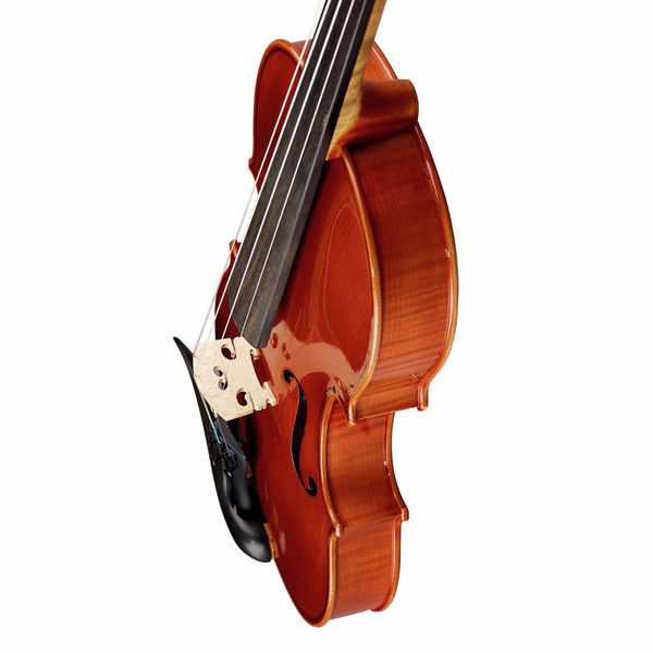 Karl Höfner Concert 4/4 Violin Outfit