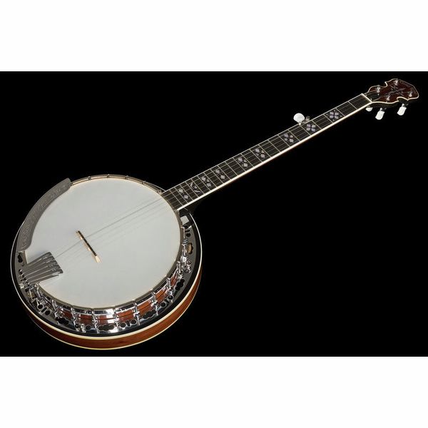 Gold Tone BG-150F Banjo
