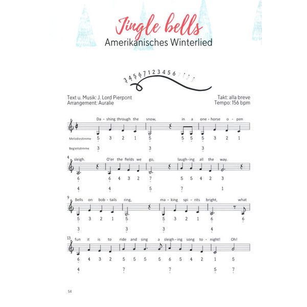 Claudia Gro Steel Tongue Drum Weihnacht