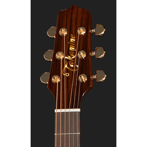 Takamine P5NC w/Softcase