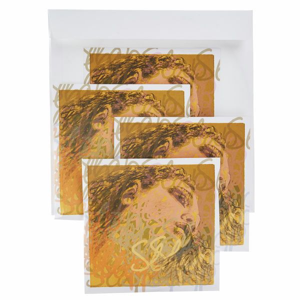 Pirastro Evah Pirazzi Slap Strings Set