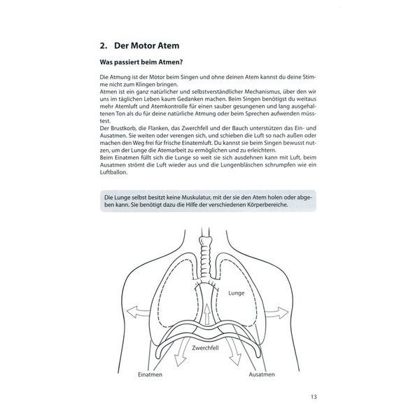 Voggenreiter Voice Basics