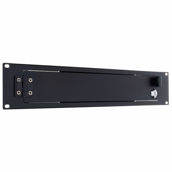 Millenium Rackdoor 2U