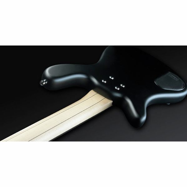 Warwick Artist Line Robert Trujillo 4