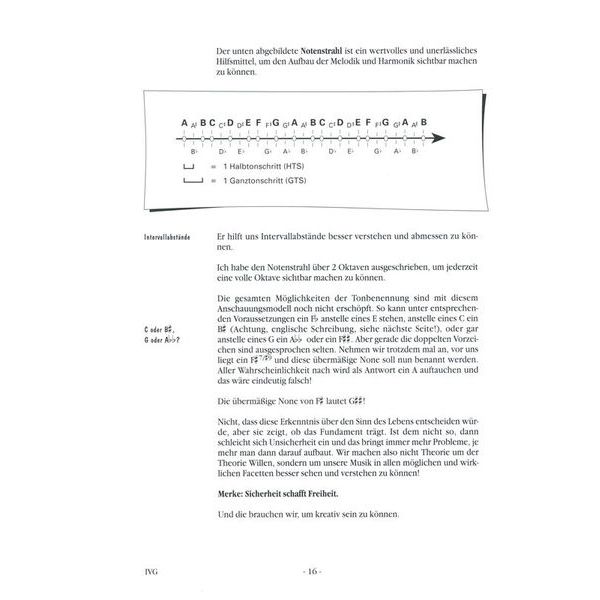 Voggenreiter In Vivo Guitar