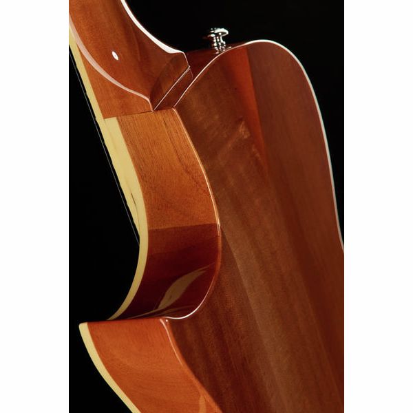 ESP LTD TL-6 Fm AQMB