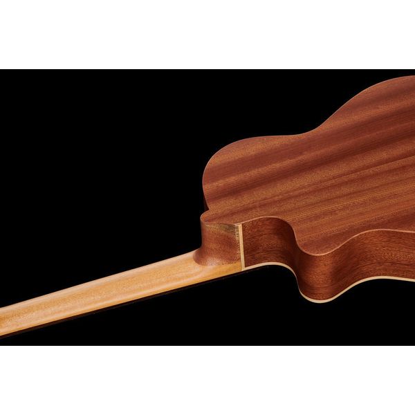 Alhambra Z Nature CW EZ incl.Gig Bag