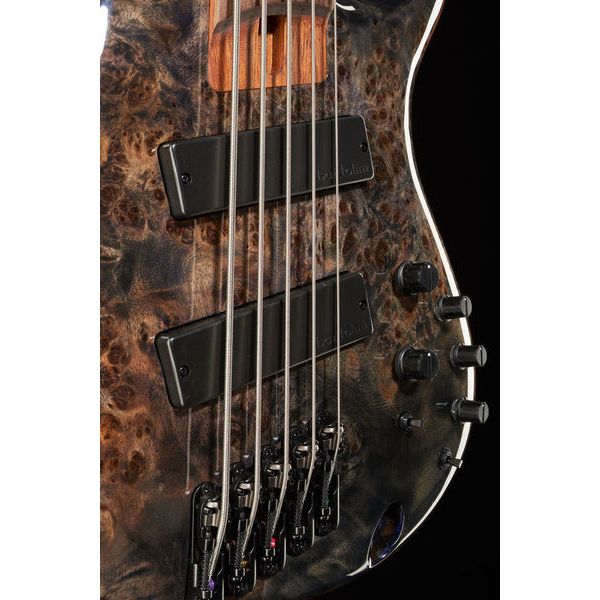 Ibanez SRMS805-DTW Workshop