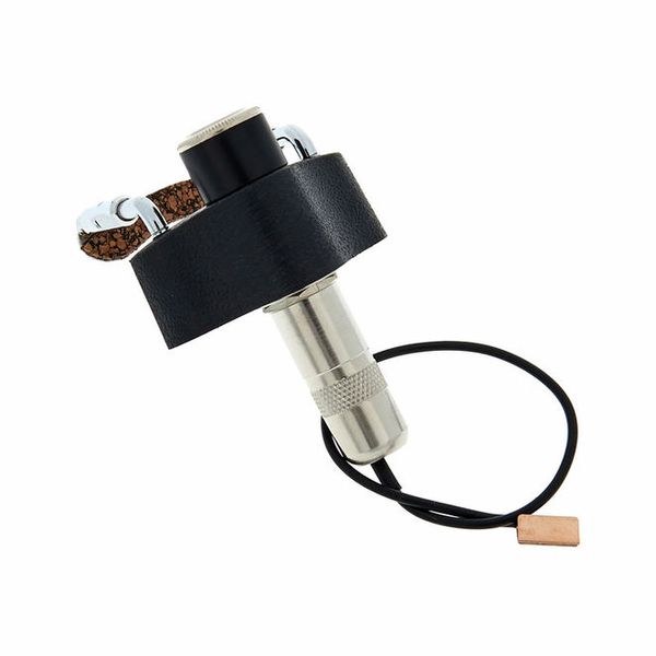 Fishman V-200-Pickup