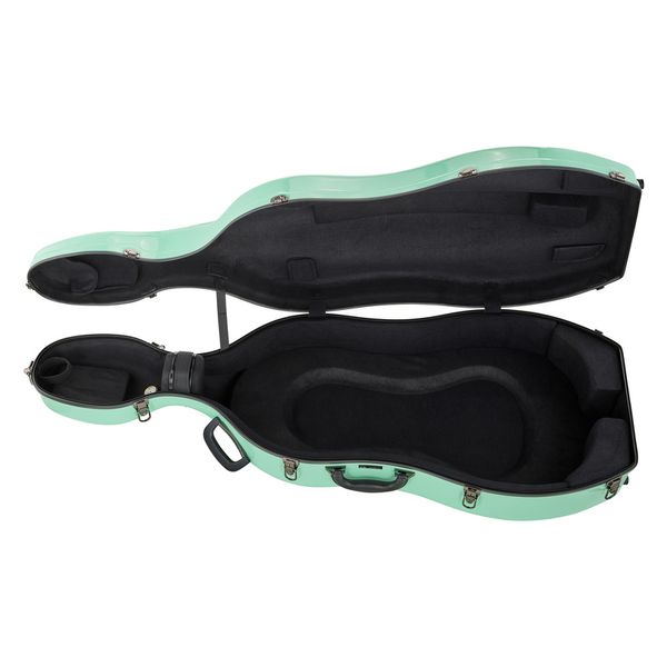 JW-eastman CE133 4/4 Cello Case PPG