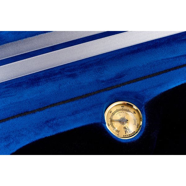 Artonus Elipe Violin Case 4/4 N2