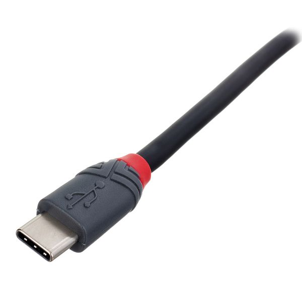 Lindy 3m USB 2.0 Typ C/B Anthra
