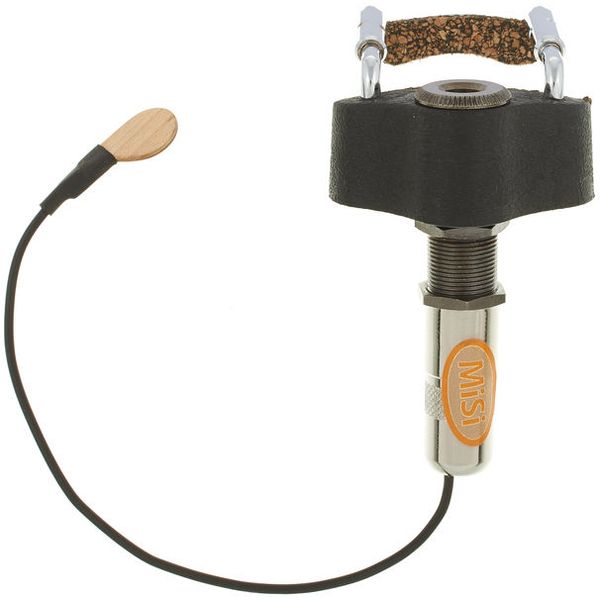 MI-SI Acoustic Trio/Vio