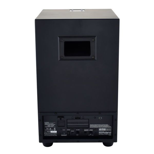 Roland EC-10 EL Cajon