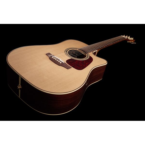 Takamine P5DC w/Softcase