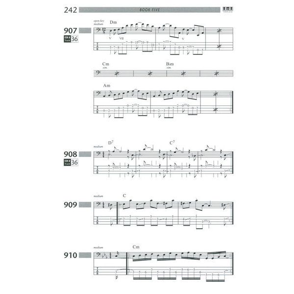 AMA Verlag Bass Bible E