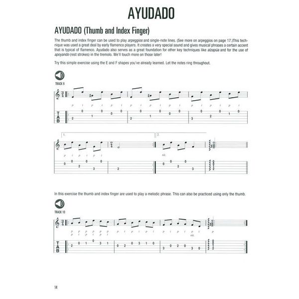 Hal Leonard Flamenco Guitar