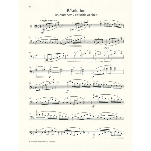 Schott Lee 12 Etudes-Caprices