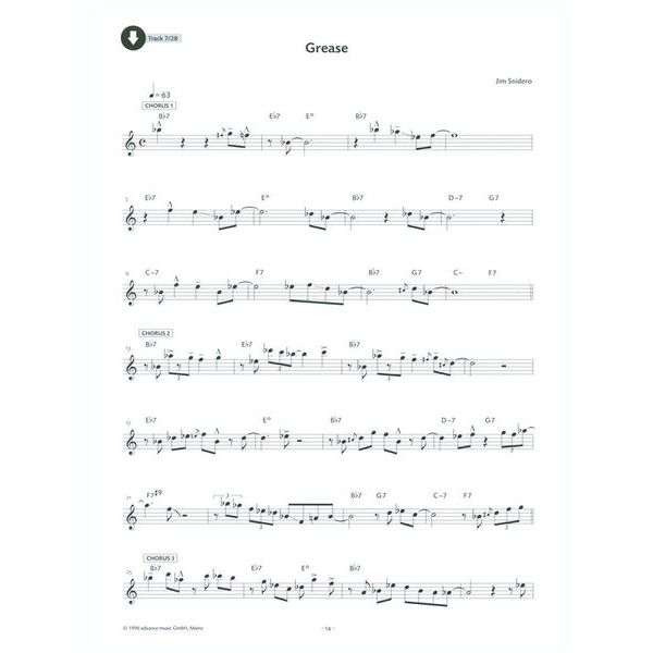 Advance Music Jazz Conception Flute