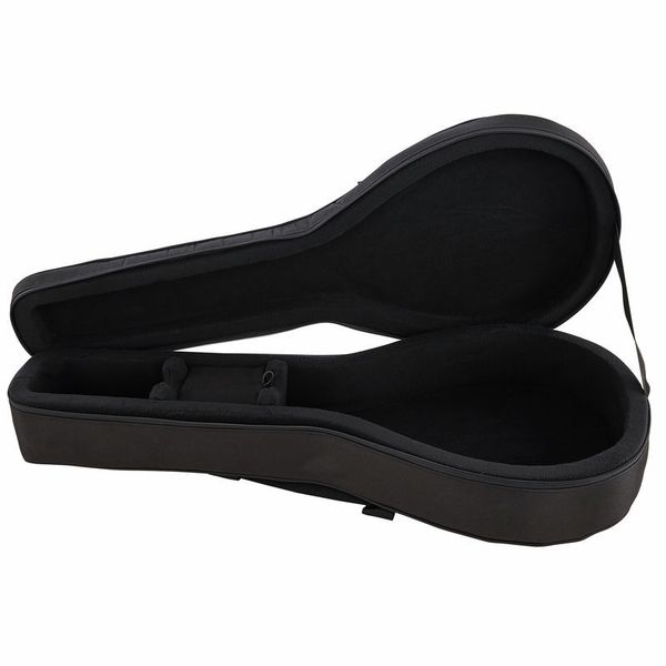 Thomann Mandola Case