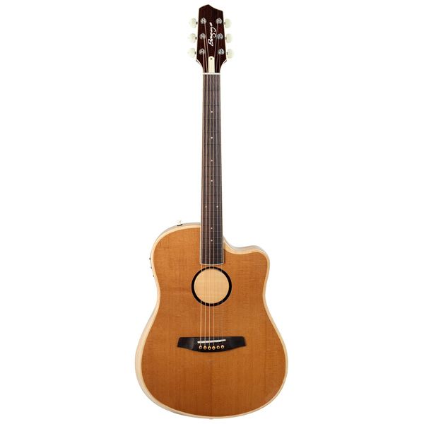 L.R.Baggs AEG 1 E- Acoustic E Natural
