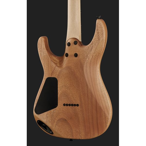 Charvel Pro-Mod DK24 HH HT E DS