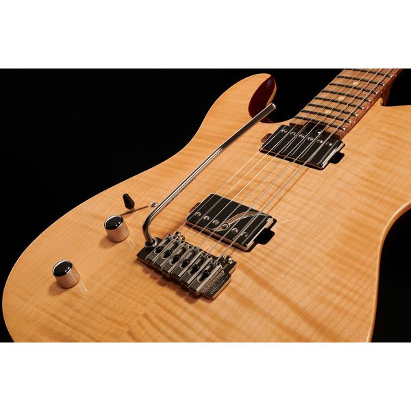 Harley Benton Fusion-T HH LH Roasted Bundle