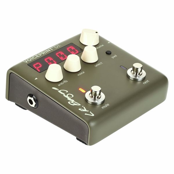 L.R.Baggs Voiceprint DI