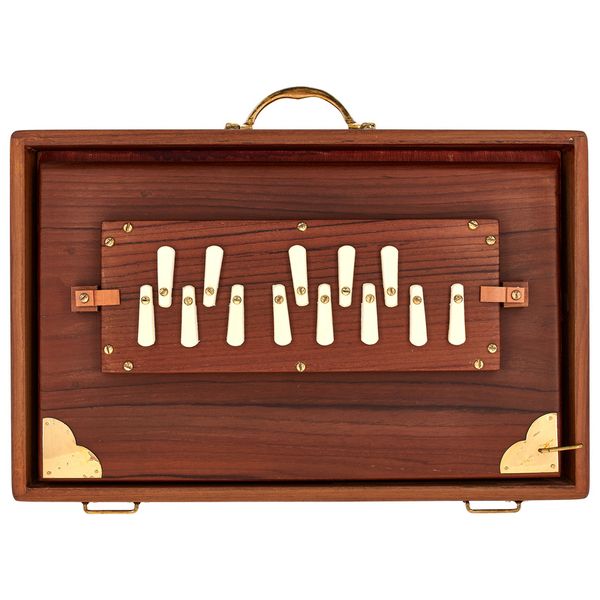 Thomann Nataraj Prof. Shruti Solid TW