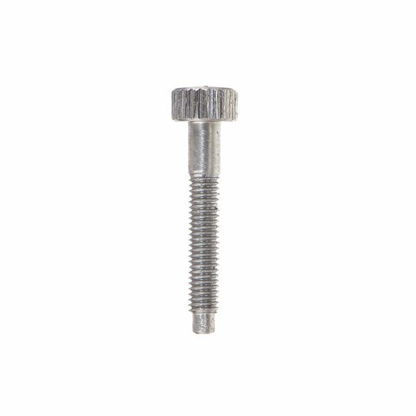B&S Slide Stop Screw Trumpet