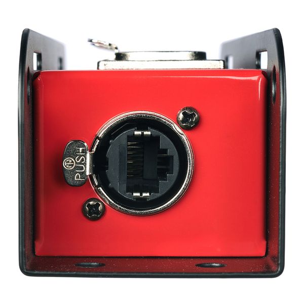 the sssnake Cat Snake 3FB