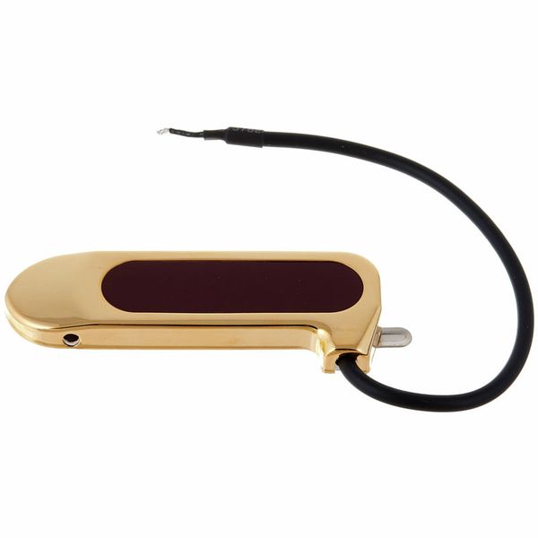 DeArmond Rhythm Chief 1000 GD