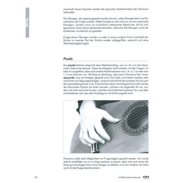 AMA Verlag Die Flamencogitarre