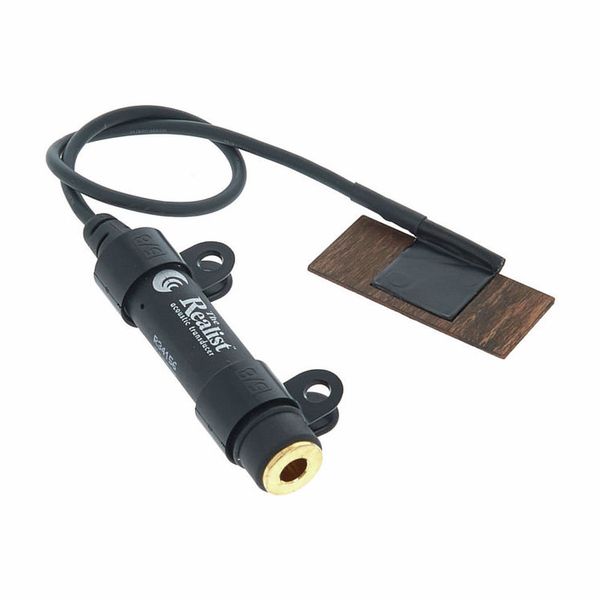 David Gage The Realist Bass Naturalist