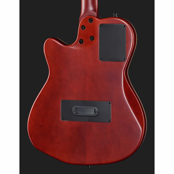 Godin ACS Nylon Slim NT Cedar