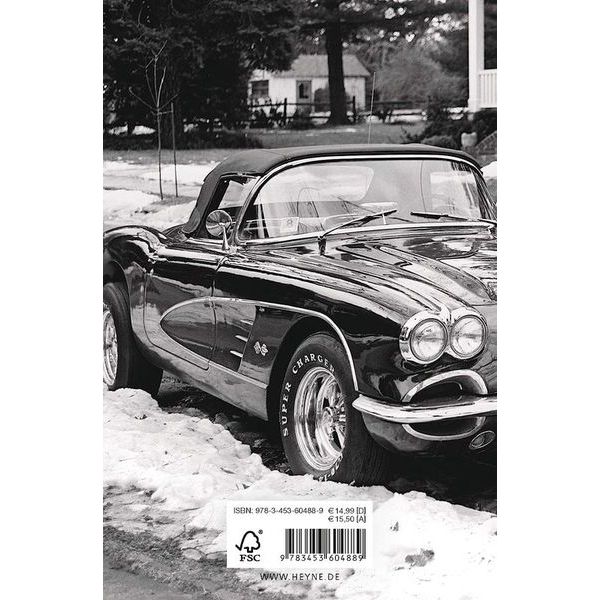 Heyne Verlag Bruce Springsteen Born To Run