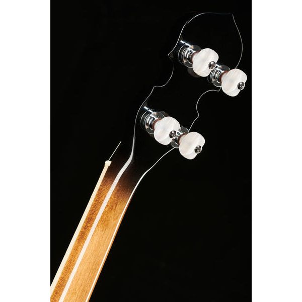 Gold Tone IT-250-F Irish Tenor Banjo w/C