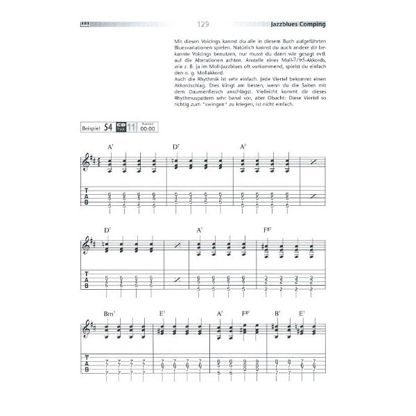 AMA Verlag Blues Guitar Rules