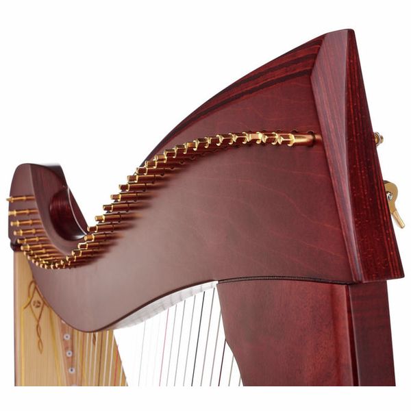 Salvi Una Deluxe Mahogany Silkgut