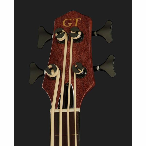 Gold Tone ME-BASS/Fretless