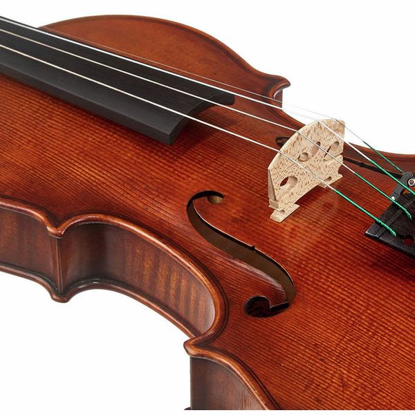 Karl Höfner H225-TB-V Tommaso Balestieri