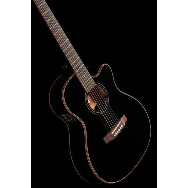 Harley Benton EAX-500TL Black