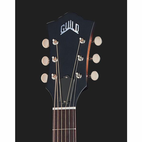Guild D-20 VSB USA